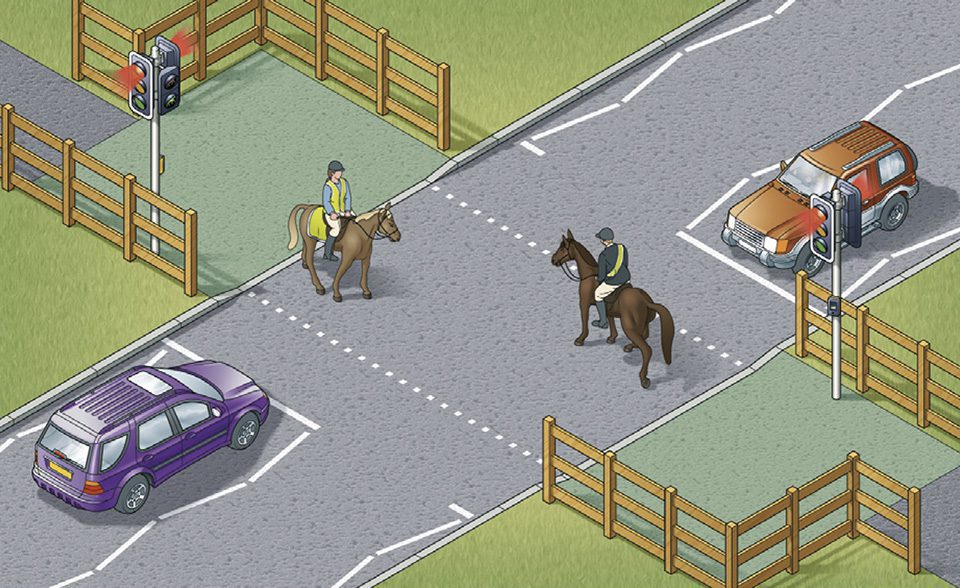 Equestrian crossing