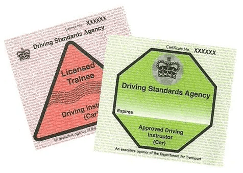 Green and pink driving instructor badge