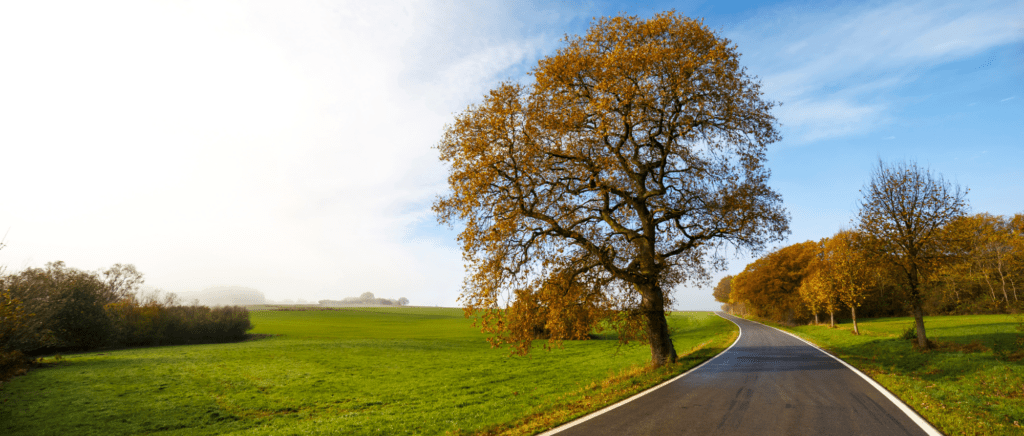 What to Do If Your Car Breaks Down on a Country Road